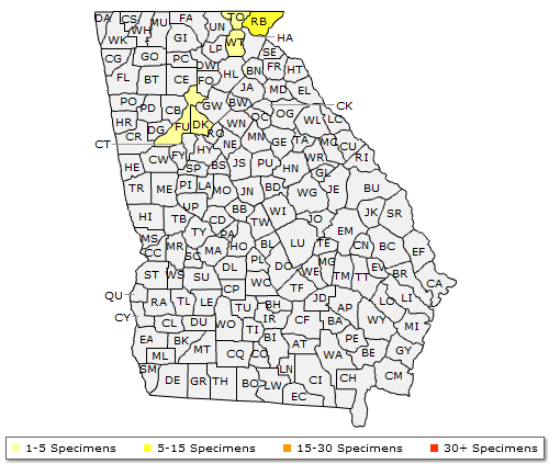 The range of Pinus rigida